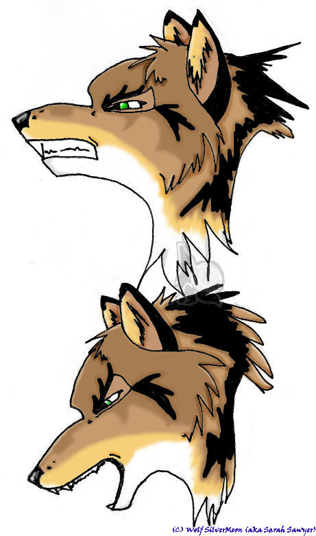 Angry Sarah by wolfsilvermoon on DeviantArt
