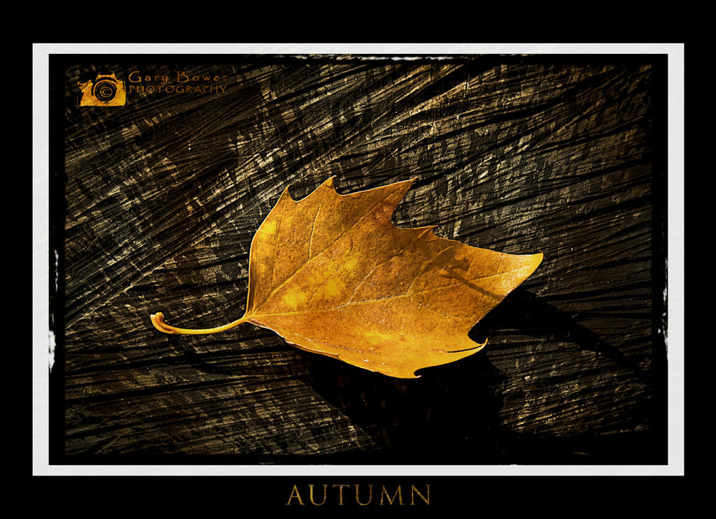 Autumn