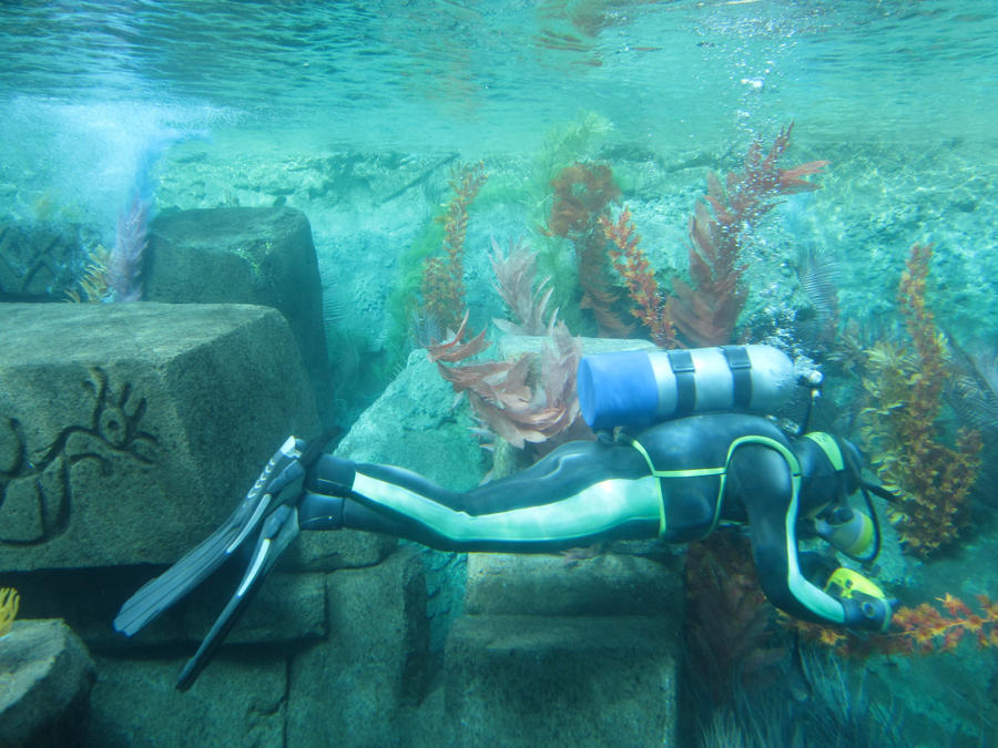 Finding Nemo Ride at disney Land by FullMetalEpicness on DeviantArt