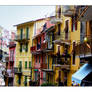 Colors of Cinque Terre