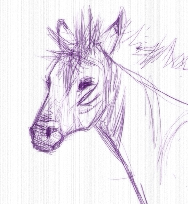 zorse