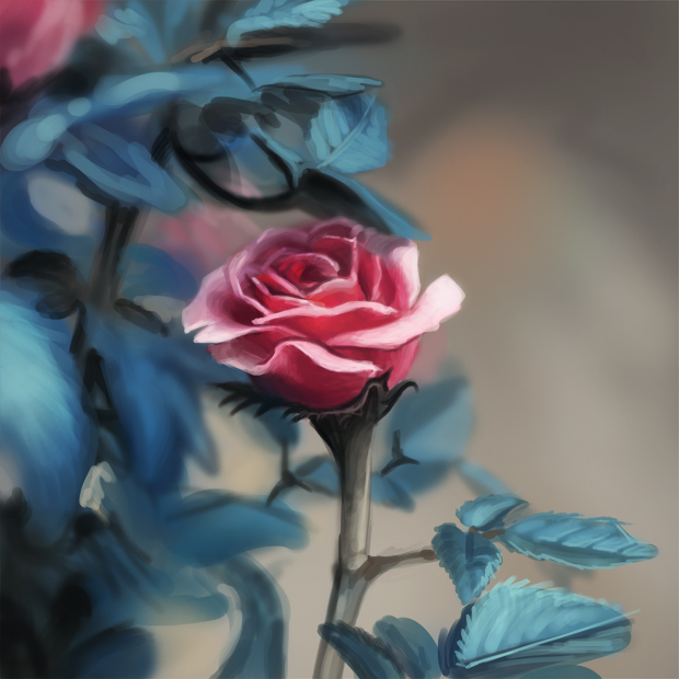 Speedpaint - Rose