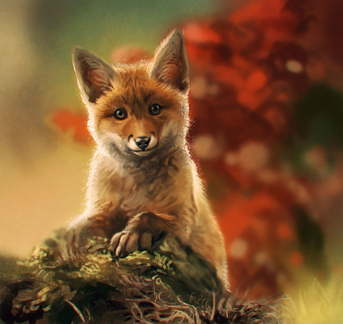 Fox look