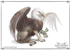 Gryphon Challenge 01 : Lion and Eagle