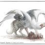 Gryphon Challenge 03: Hyena and Vulture