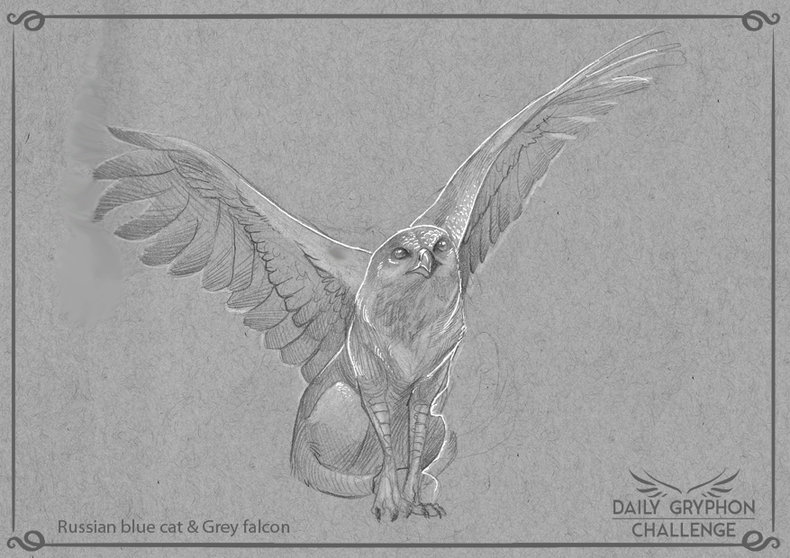 GryphonChallenge 06: Russian blue and grey falcon