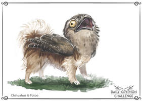 Gryphon Challenge 08 : Chihuahua and Potoo