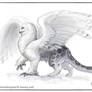 Gryphon Challenge 09 : Snowleopard and Snowy owl