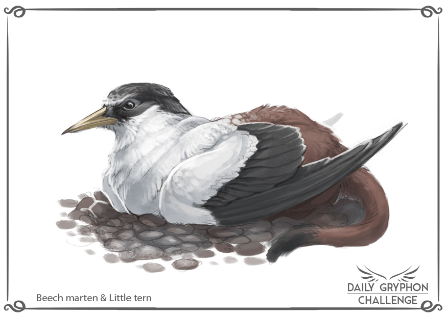 Gryphon Challenge 21 : Marten and Little tern