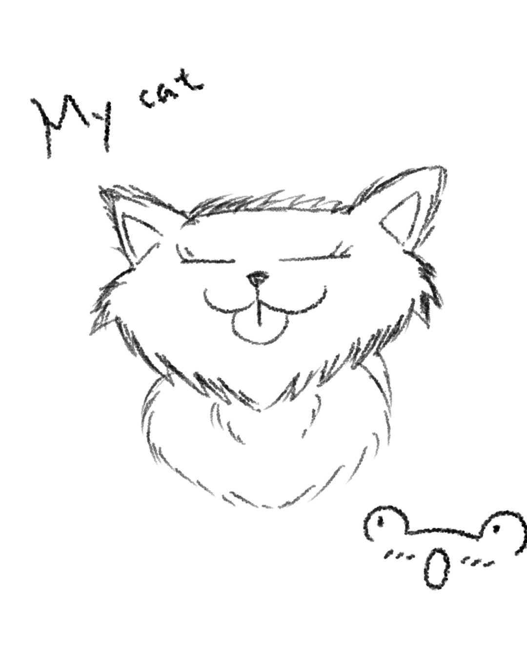 My cat
