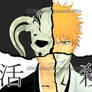 Hollow In Ichigo Colour