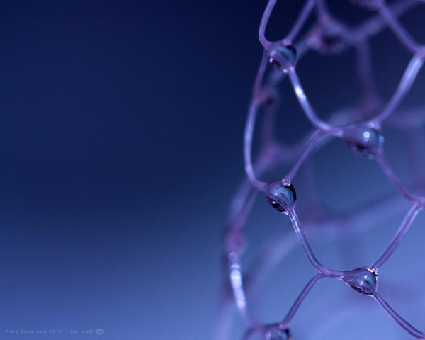 Lilac Web - Wallpaper by teyasaveleva