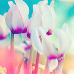 breathe into me by mebilia