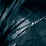 Fullmoon by mebilia