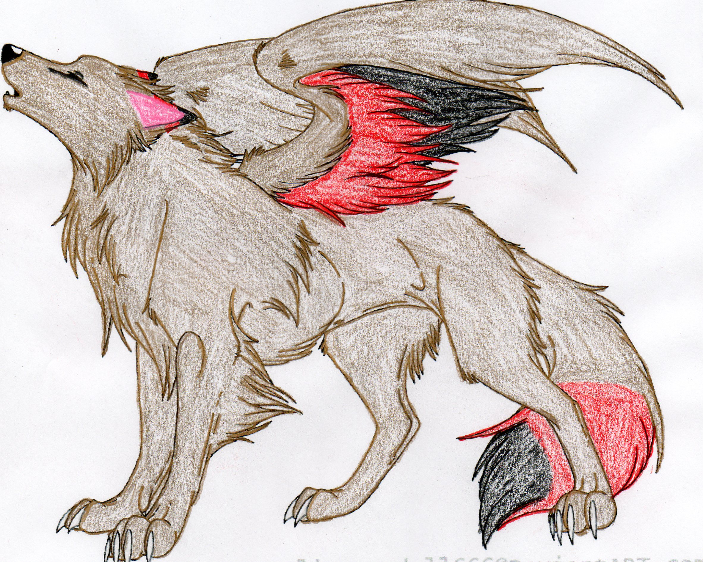 Winged Wolf Colored
