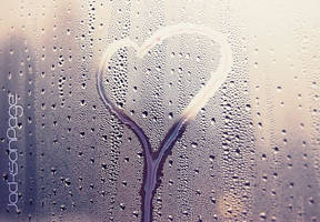 JacksonPage copyright preview.