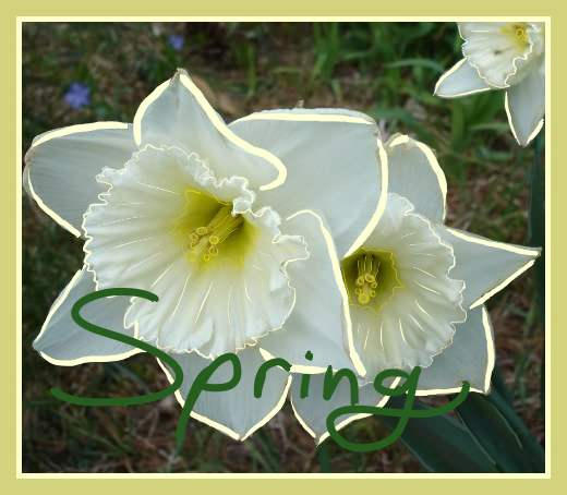 Spring by Konoha-Kensei on DeviantArt