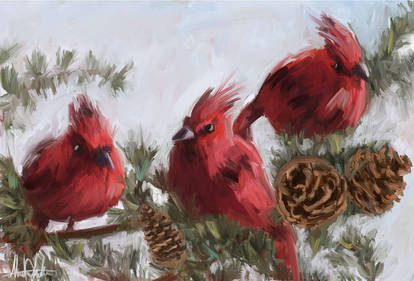 Xmas cardinal birds