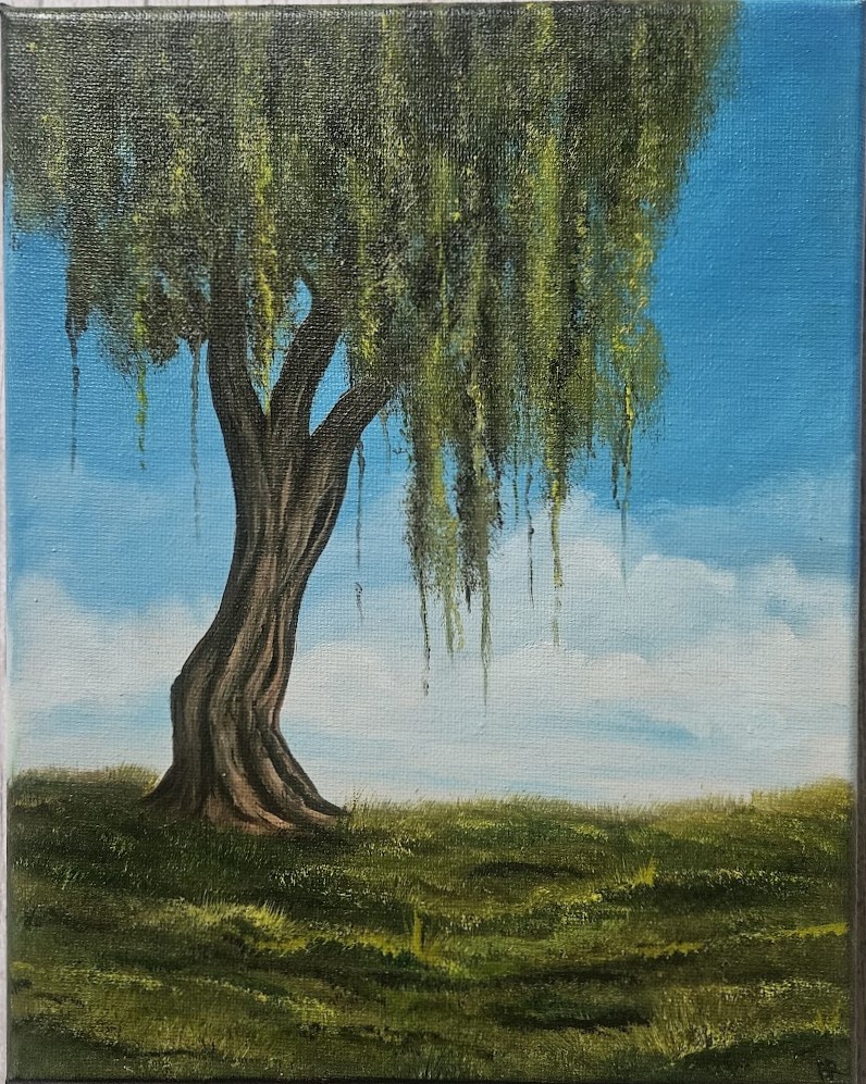Willow Tree by BreezyBreeArt on DeviantArt