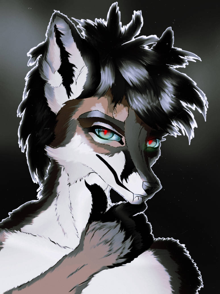 fox photo 90s 2000s by Cuscusi on DeviantArt