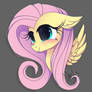 Fluttershy