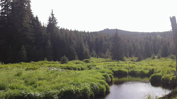 Willamette Vally National Forest 2018 Rainbow