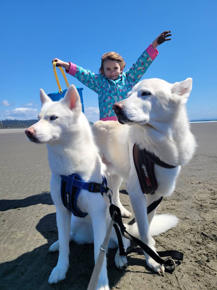 My little trio dropped their new album