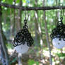 Moondrop