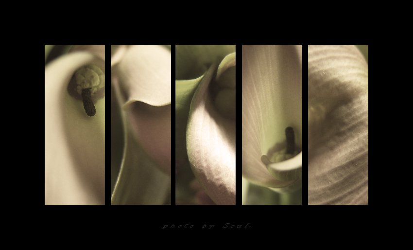 By SouL 2-sepia