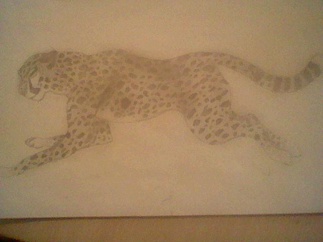 Cheetah