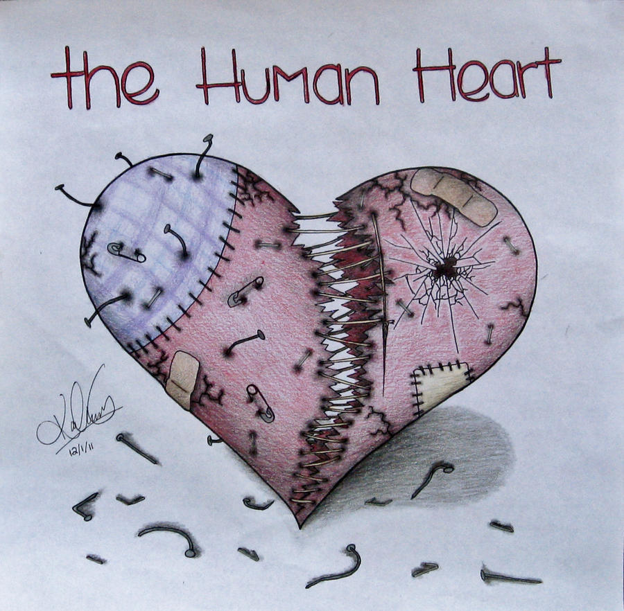 The Human Heart