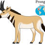 Pronghorse