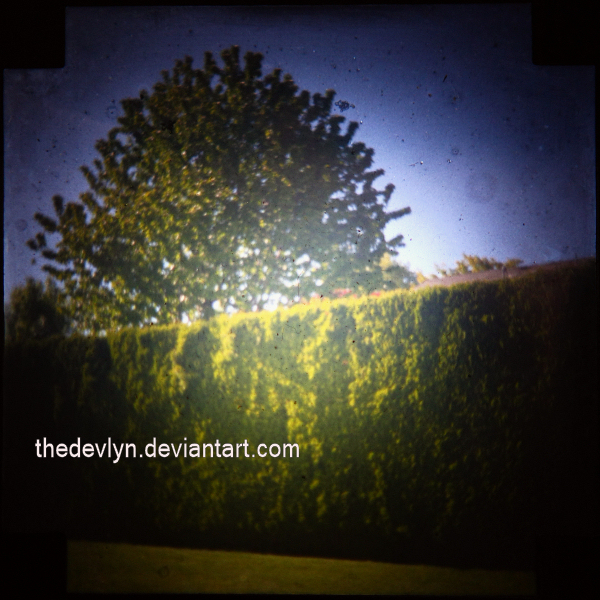 TTV - Yard