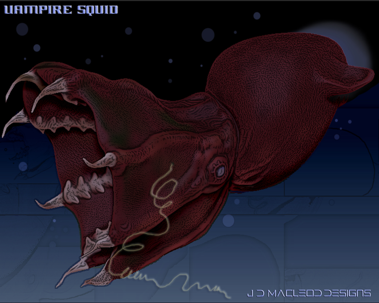 Vampire Squid