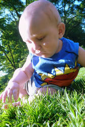 Jace in the Grass