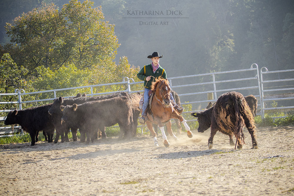 Cattle Work