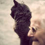 the cat and grand mother