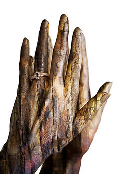 les mains de bois