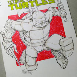 TMNT blank