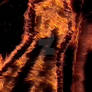 Burning Shadow