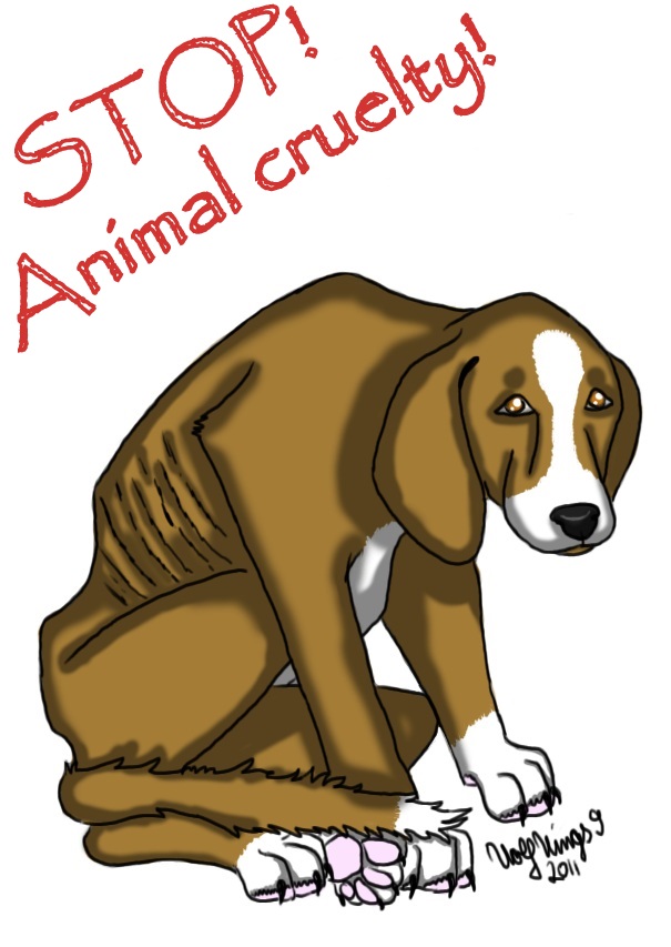 Stop Animal Cruelty by NekoWolfie on DeviantArt Stop Animal Cruelty by NekoWolfie on DeviantArt