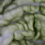 Brain Cabbage Lobes