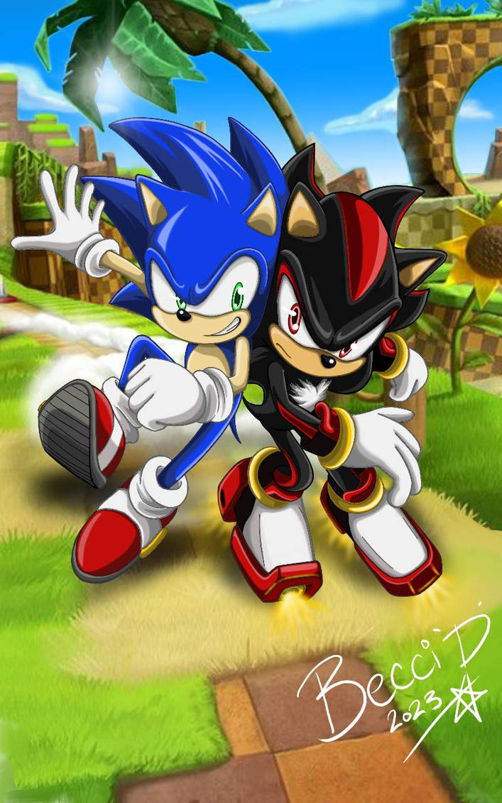 Sonic racing Shadow by Mysterious-D on DeviantArt