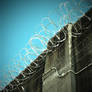 Prison barb wire