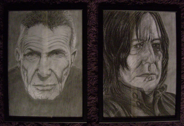 Spock and Snape Framed