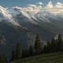 Alpin View
