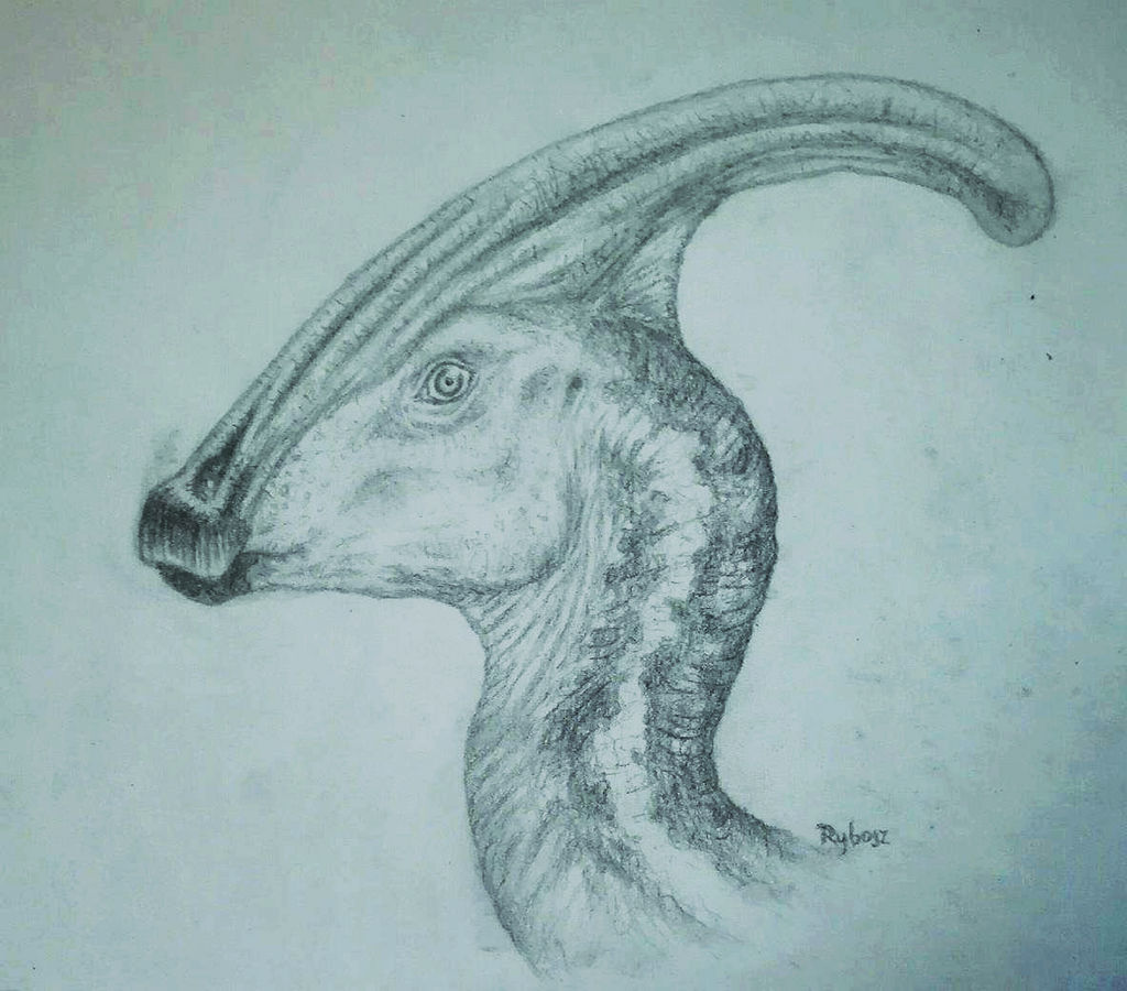 Parasaurolophus walkeri