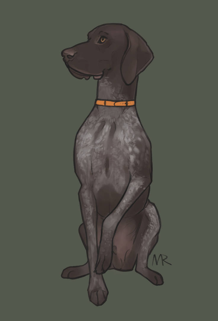 German Shorthaired Pointer by Rybosz on DeviantArt