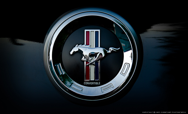 Ford Mustang Logo