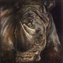 Rhino Close-up Painting